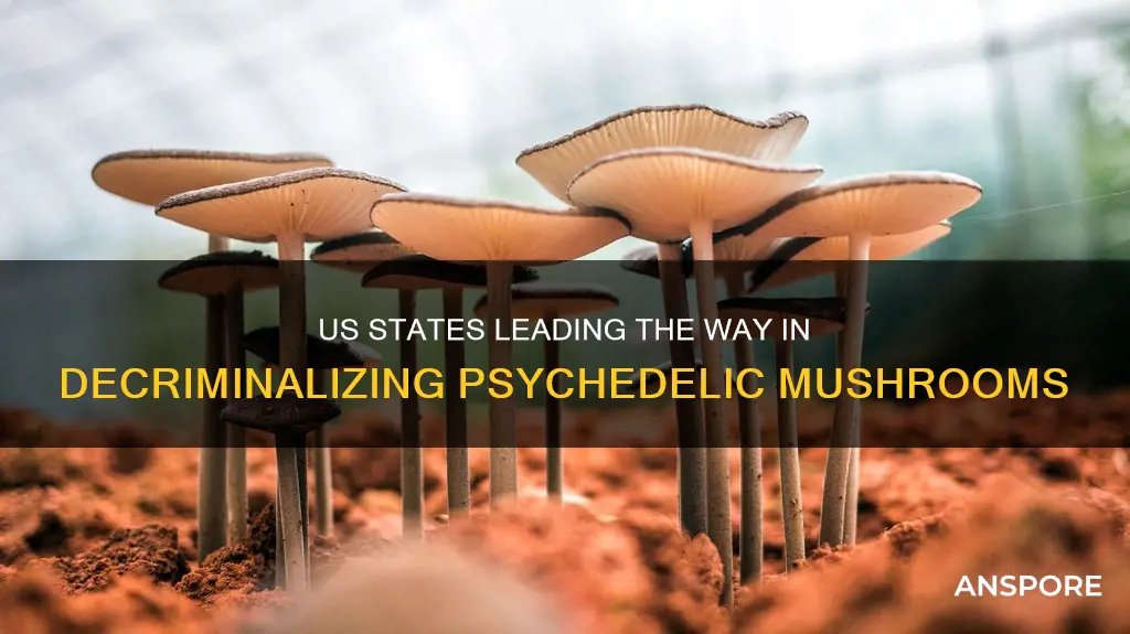 what state decriminalize psychedelic mushrooms