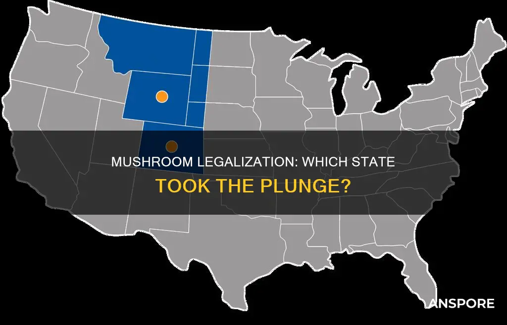 what state passed mushrooms