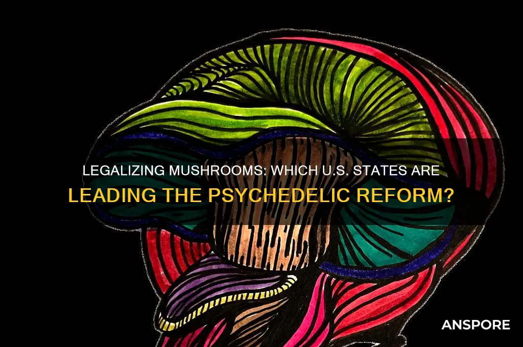 what states are trying to make mushrooms legal