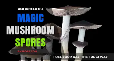 Legal States for Selling Magic Mushroom Spores: A Comprehensive Guide