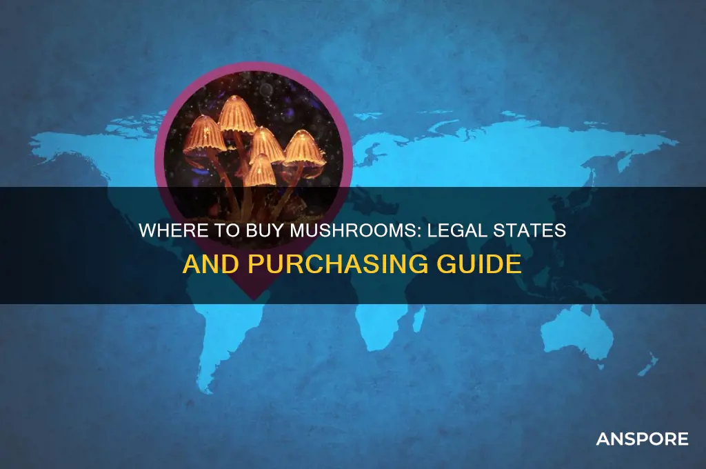 what states can you buy mushrooms