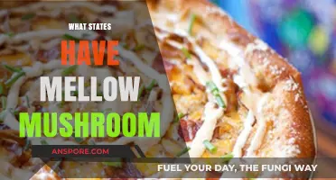 Mellow Mushroom: Which States Serve Up This Pizza?