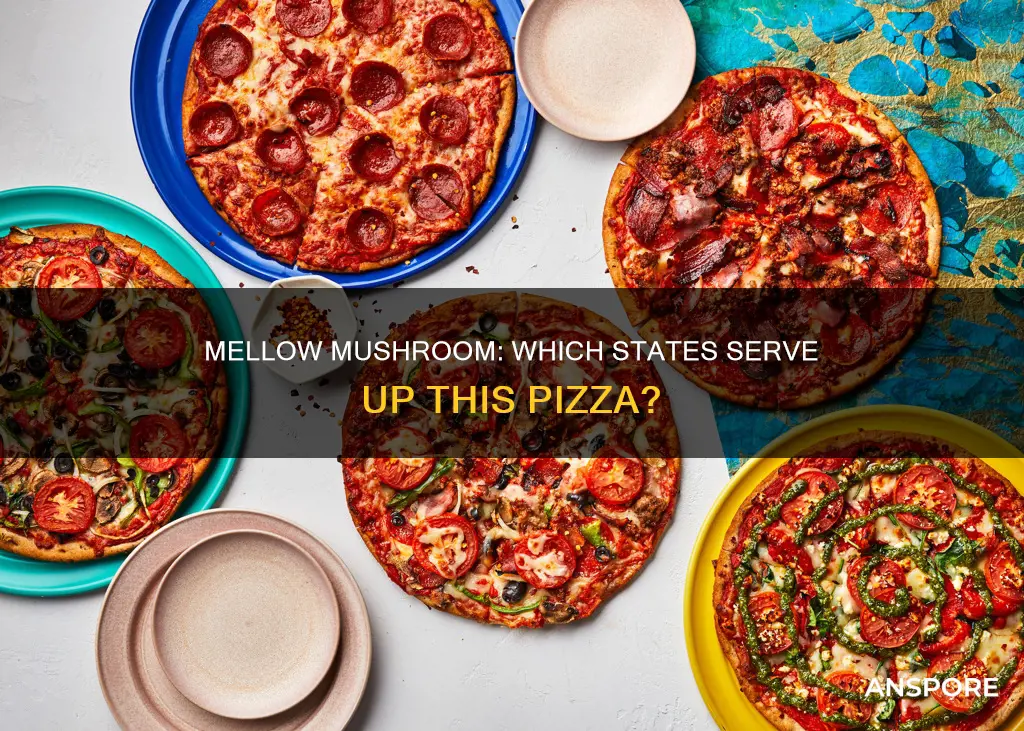 what states have mellow mushroom