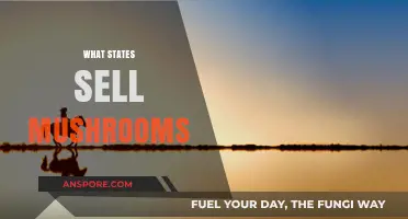 Mushroom Availability: States Where You Can Buy Them