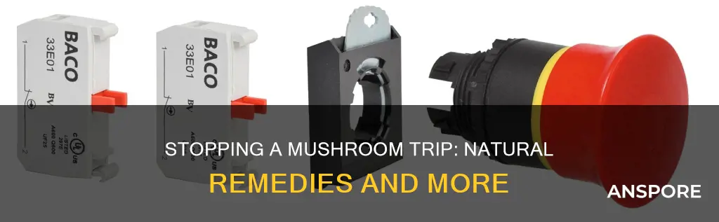 what stops a mushroom trip