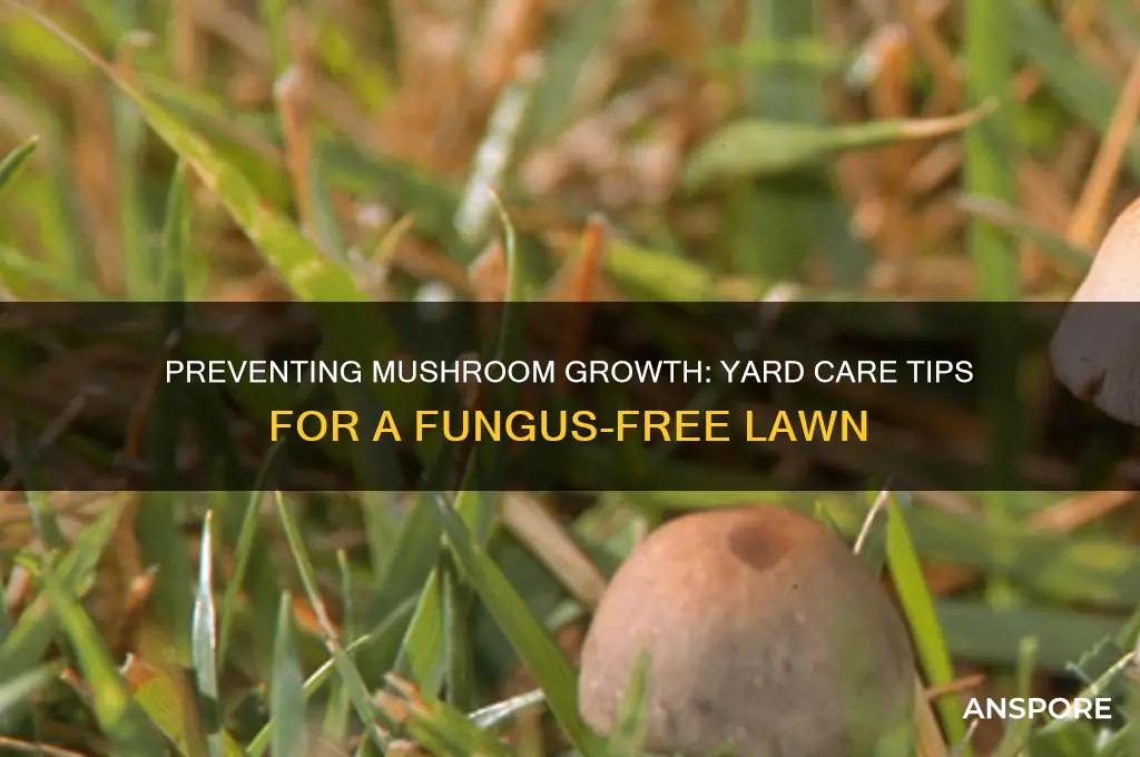 what stops mushrooms from growing in your yard