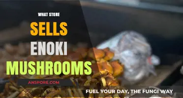 Where to Buy Enoki Mushrooms: A Shopping Guide