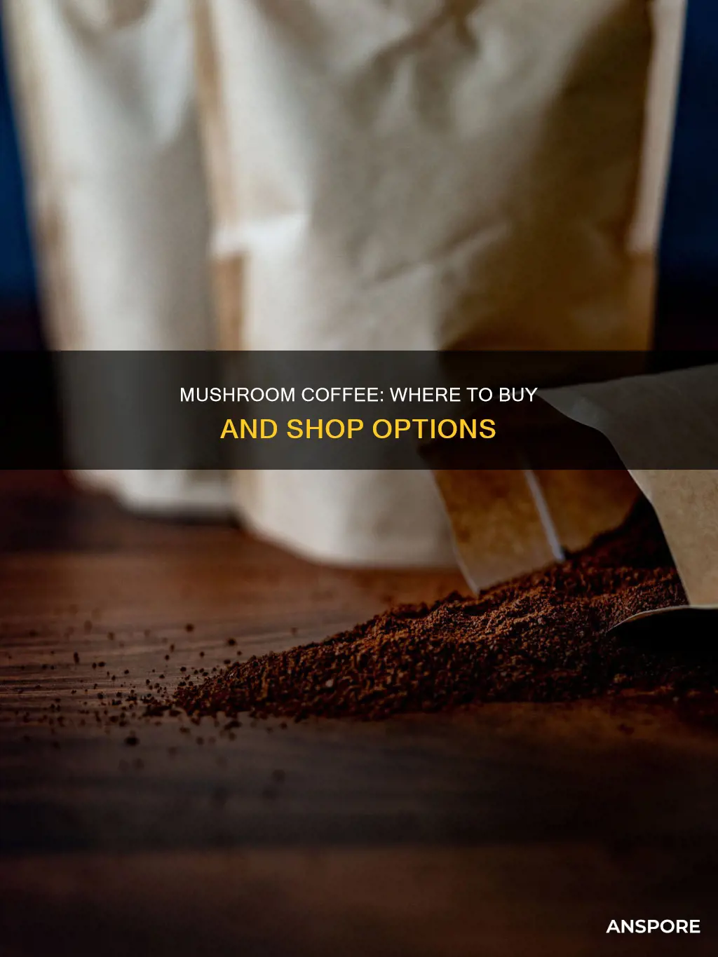 what store sells mushroom coffee