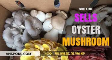 Where to Buy Oyster Mushrooms: Store Options