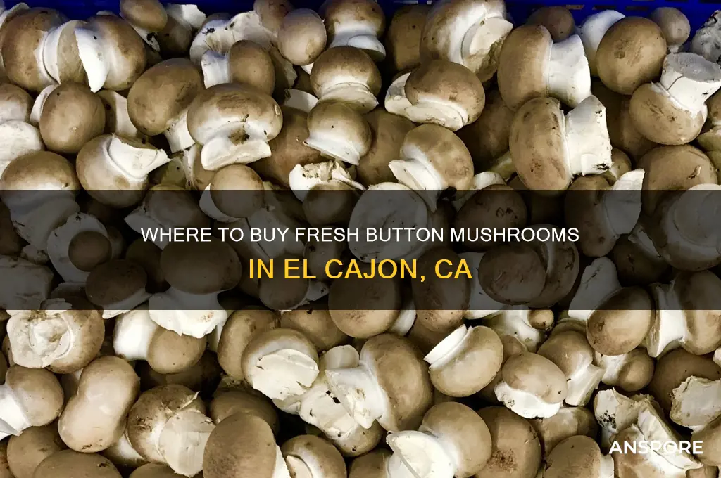 what store to buy button mushrooms in el cajon ca