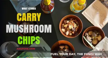 Mushroom Chips: Where to Buy and What to Know