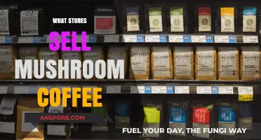 Mushroom Coffee: Where to Buy and Best Brands