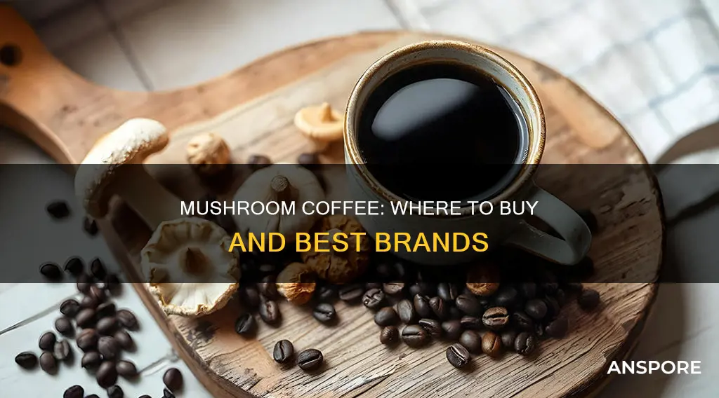 what stores sell mushroom coffee