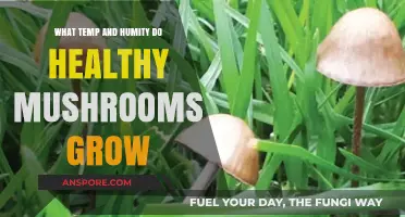 Optimal Temperature and Humidity for Healthy Mushroom Growth