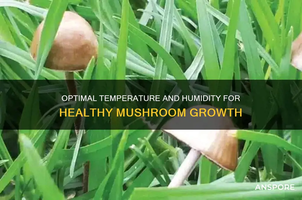 what temp and humity do healthy mushrooms grow