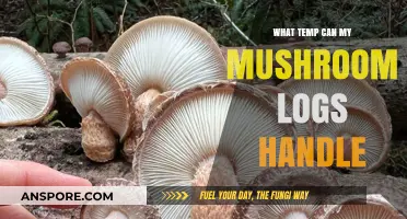 Optimal Temperature Range for Mushroom Logs: A Comprehensive Guide