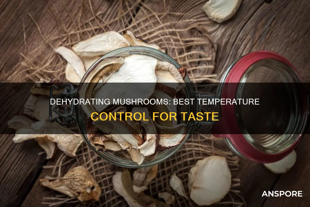 what temp dehydrate mushrooms