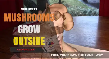 Optimal Outdoor Mushroom Growth: Understanding Ideal Temperature Conditions