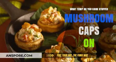 Perfectly Cooked Stuffed Mushroom Caps: Ideal Oven Temperature Guide