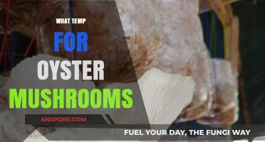 The Ideal Temperature Range for Oyster Mushroom Cultivation