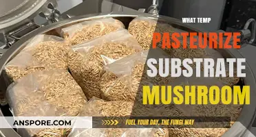The Ideal Temperature for Pasteurizing Mushroom Substrate