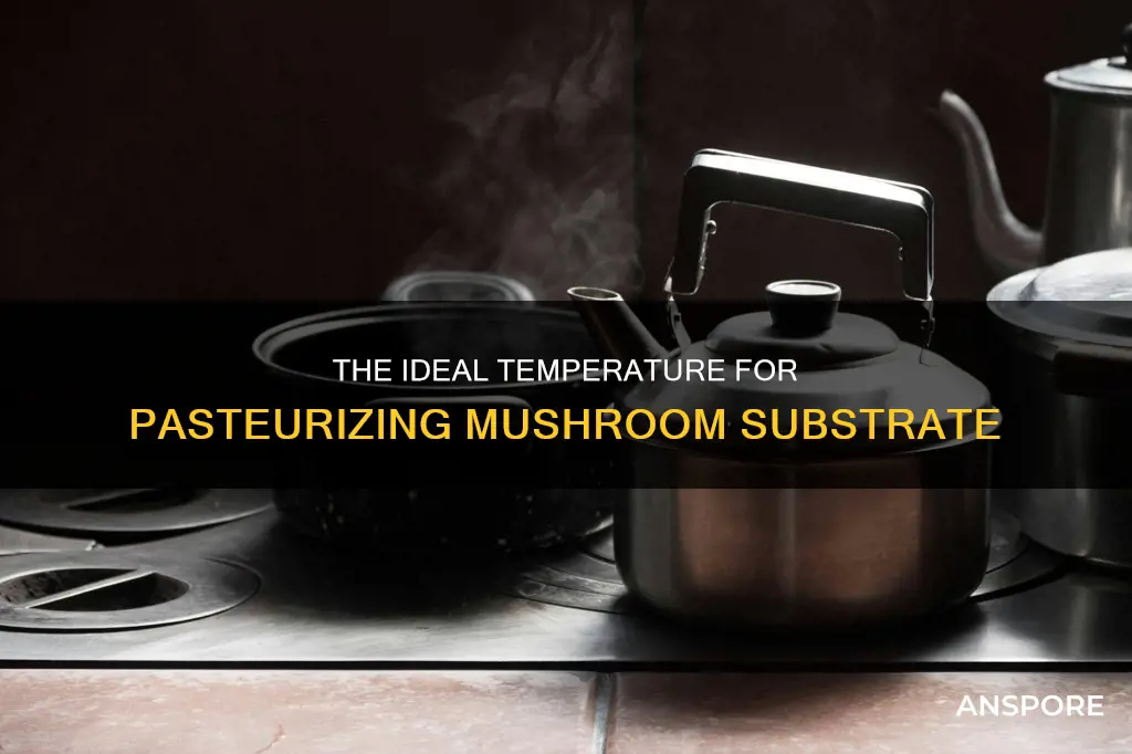 what temp pasteurize substrate mushroom