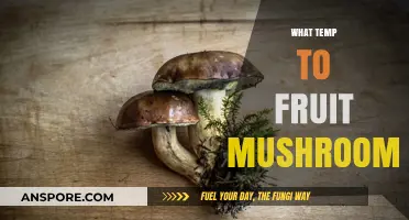 Fruit Mushrooms: Ideal Temperature Control