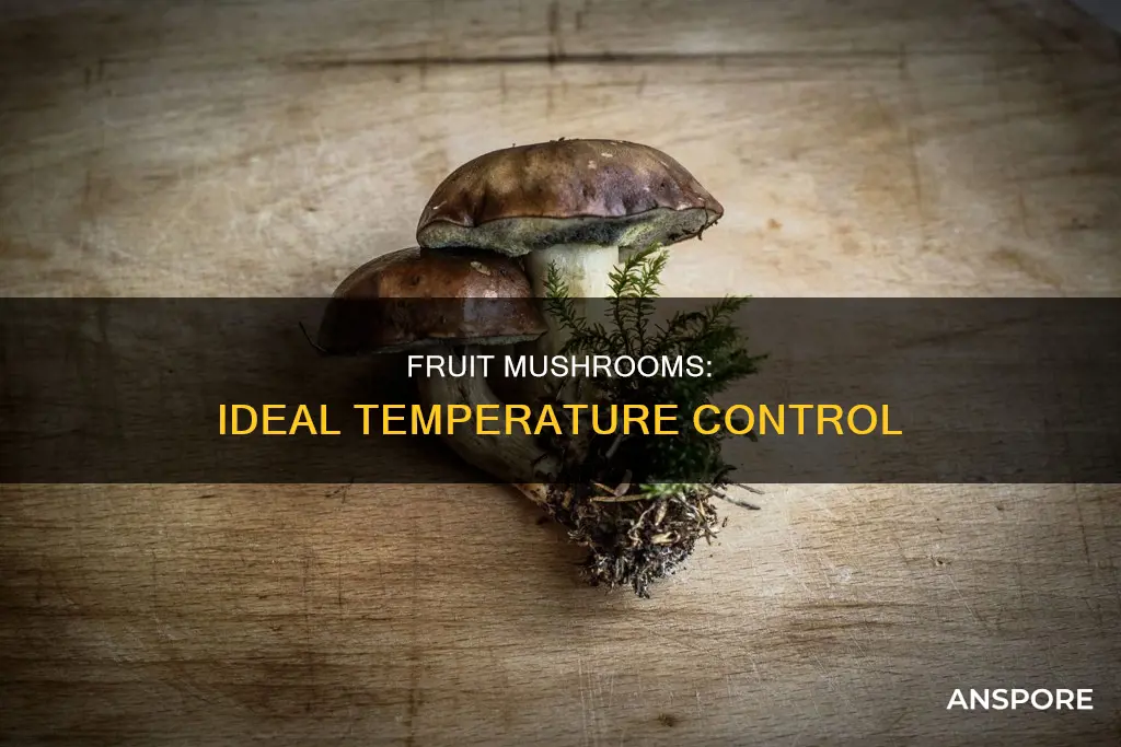what temp to fruit mushrooms