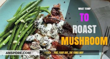 Perfectly Roasted Mushrooms: The Ideal Temperature Range