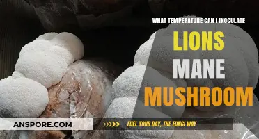 Optimal Inoculation Temperature for Lion's Mane Mushroom Cultivation