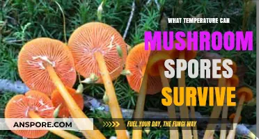 Mushroom Spores' Temperature Survival: Unveiling Their Resilience Limits