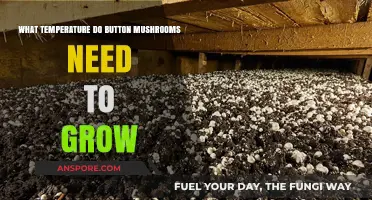 Optimal Temperature Range for Growing Button Mushrooms at Home