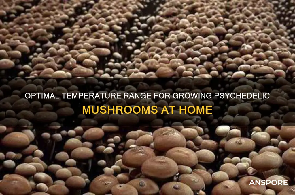what temperature do psychedelic mushrooms grow
