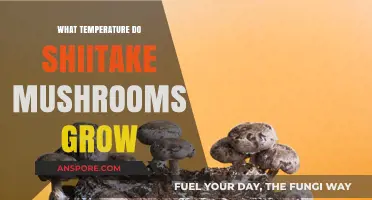 Optimal Temperature Range for Growing Shiitake Mushrooms at Home
