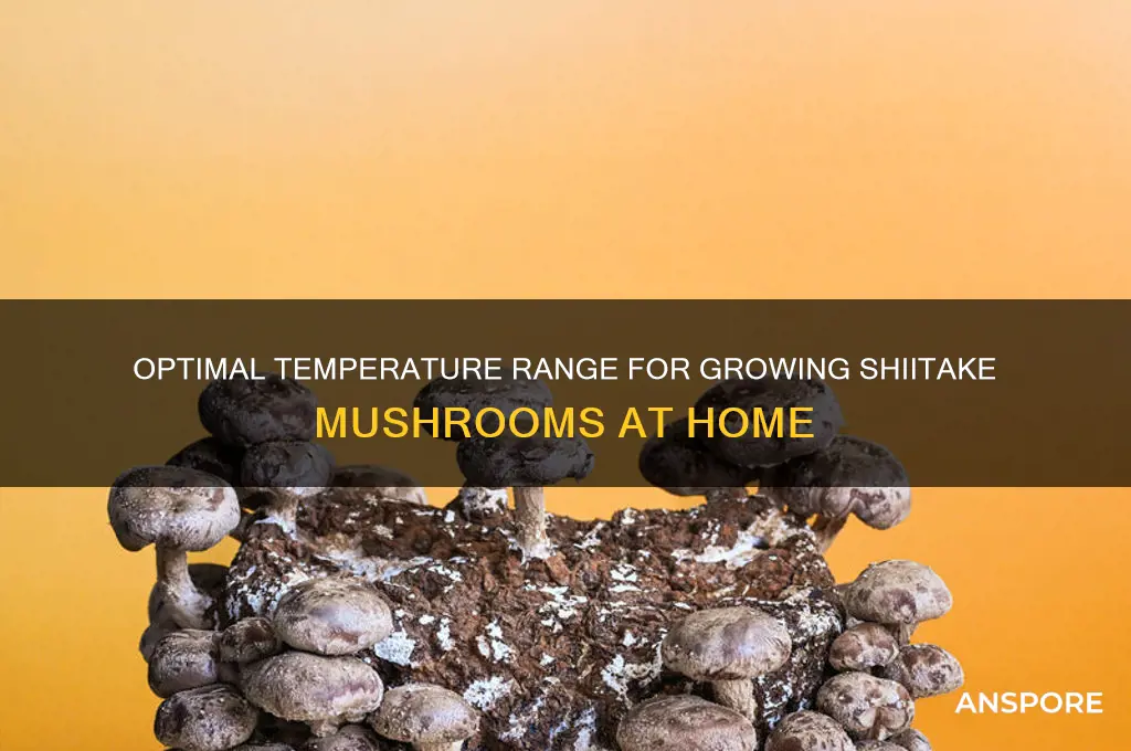 what temperature do shiitake mushrooms grow
