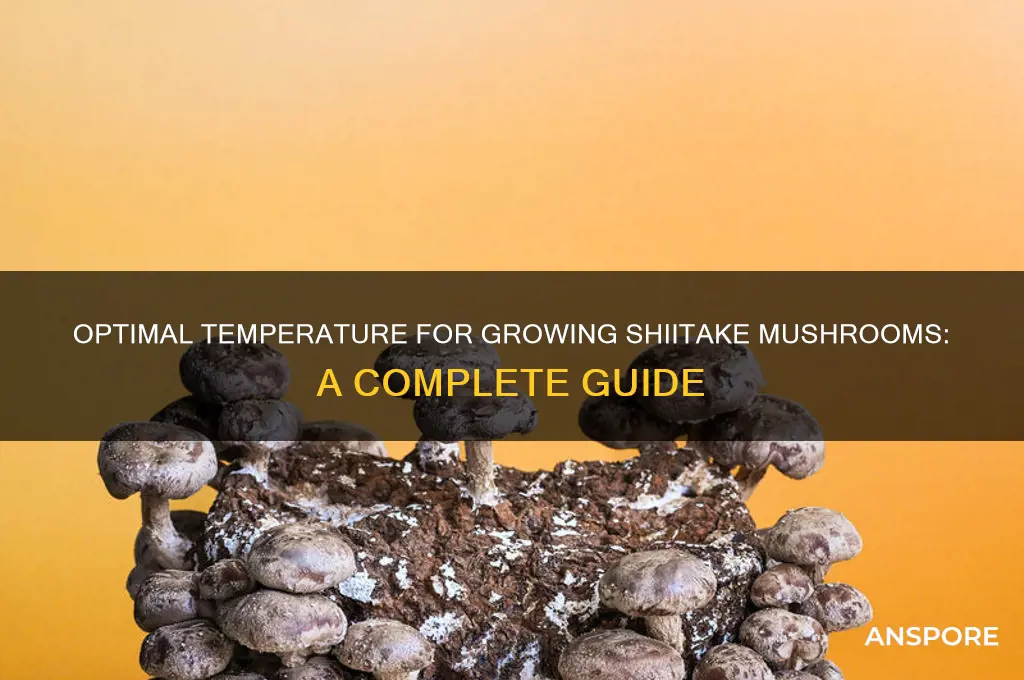 what temperature do you want grow shitake mushrooms