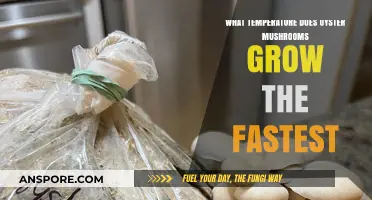 Optimal Temperature for Fastest Oyster Mushroom Growth: Expert Insights