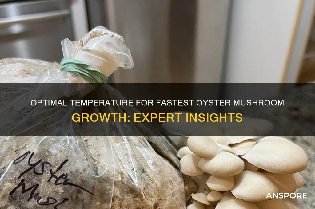 what temperature does oyster mushrooms grow the fastest