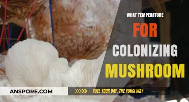 Ideal Temperature for Colonizing Mushrooms