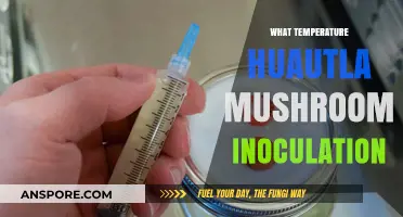 Ideal Temperature for Huautla Mushroom Inoculation