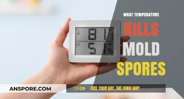 Effective Temperatures to Eliminate Mold Spores: A Comprehensive Guide