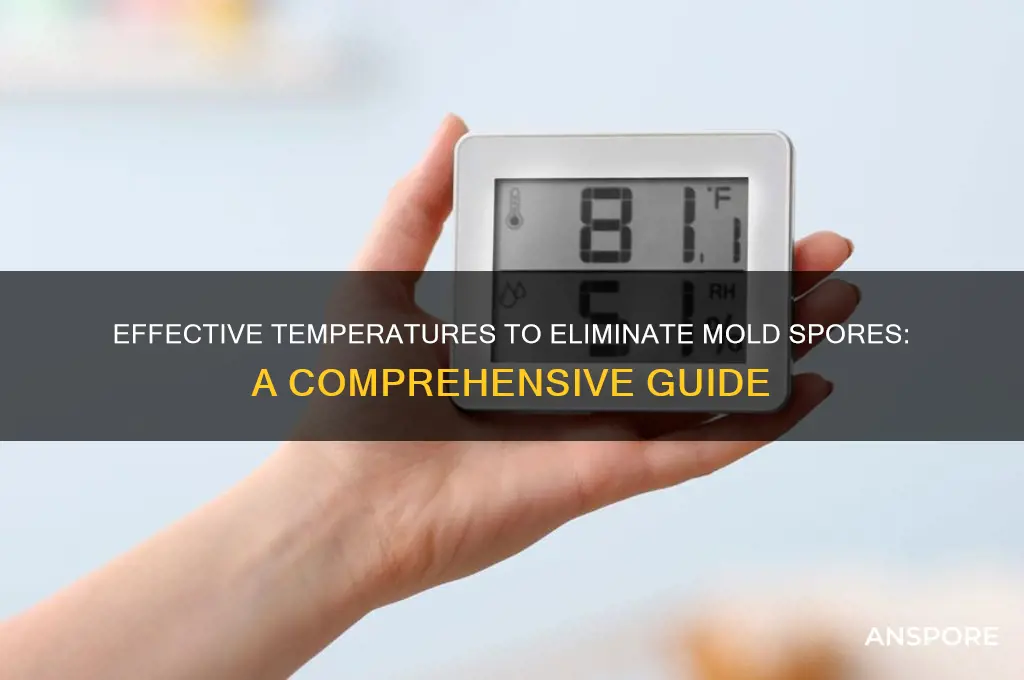 what temperature kills mold spores