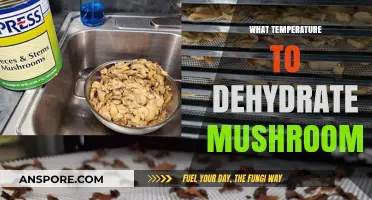 Dehydrating Mushrooms: Best Temperature Control for Delicious Results
