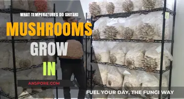 Optimal Temperature Range for Growing Shiitake Mushrooms: A Guide