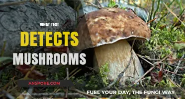 Detecting Mushrooms: What Test is Best?