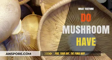 Mushroom Texture: A Tactile Adventure