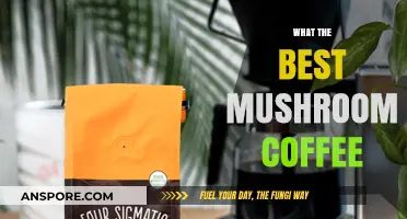 Mushroom Coffee: Best Blends for a Boost