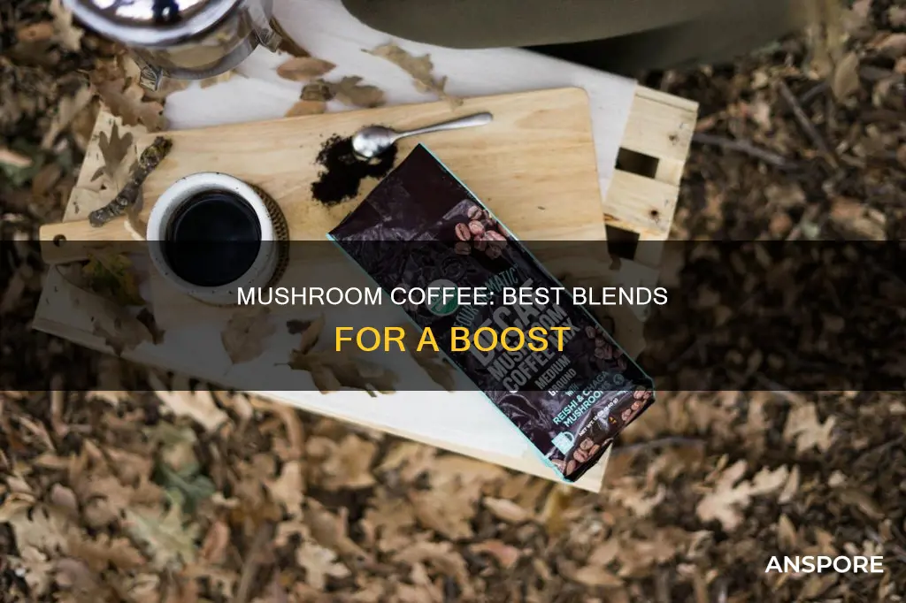 what the best mushroom coffee