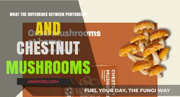 Portobello vs. Chestnut Mushrooms: Key Differences and Culinary Uses