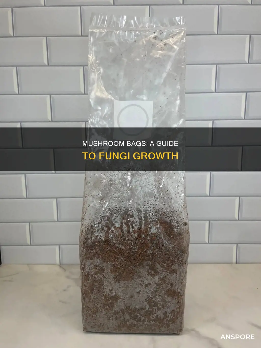 what the fungus mushroom bags